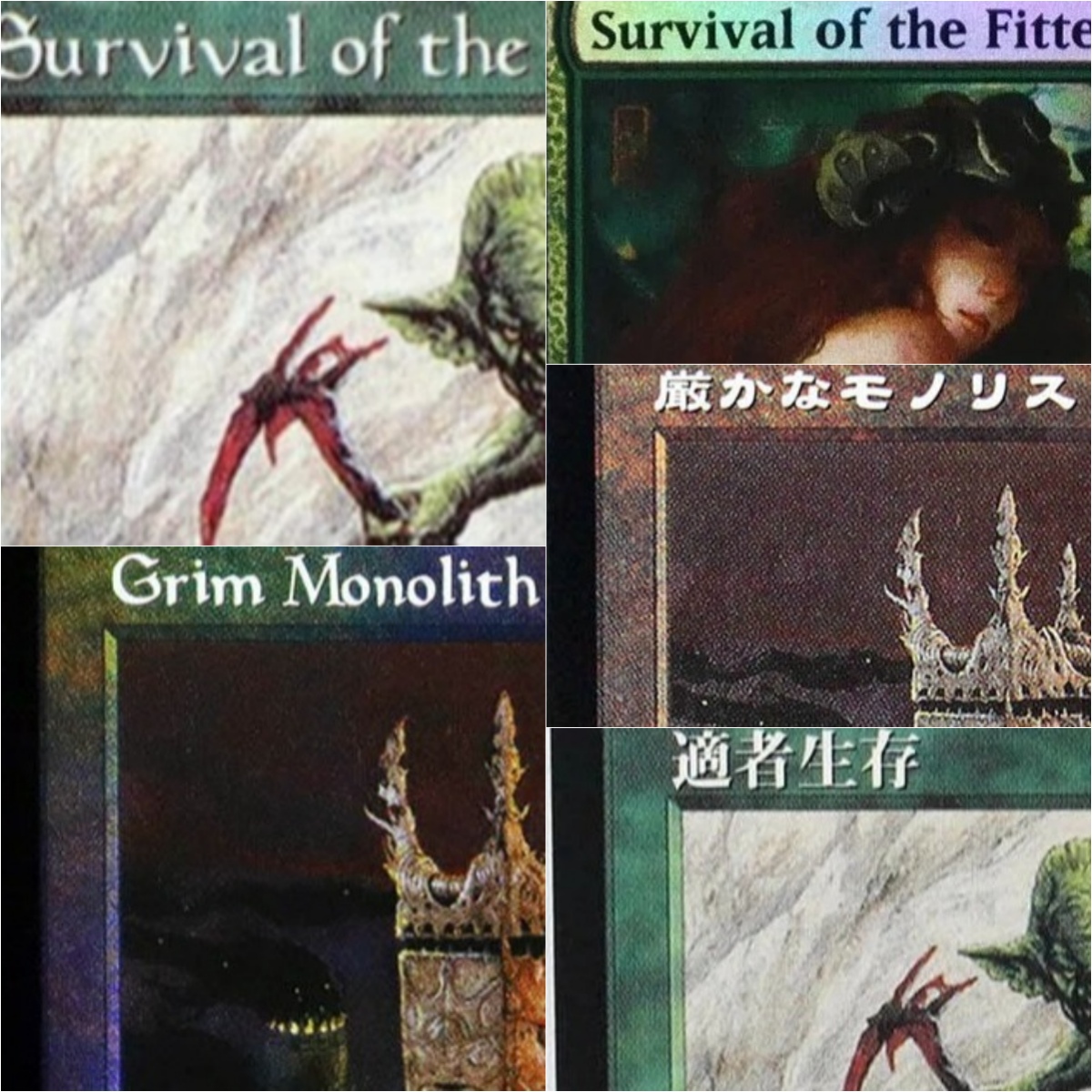 Grim Monolith/Survival of the  - Board Game Survive The Island recensie en prijs